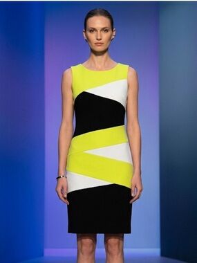 🌹Ronni Nicole Colorblock Bodycon Dress